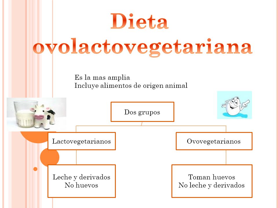 Dieta ovo lacto vegetariana